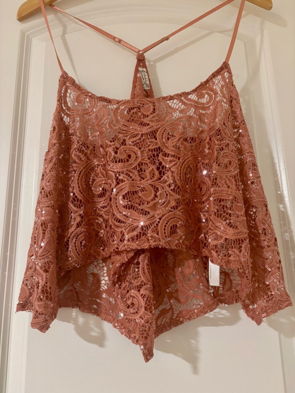 Free People Rose Lace Sequin Camisole - Picture 4 of 8